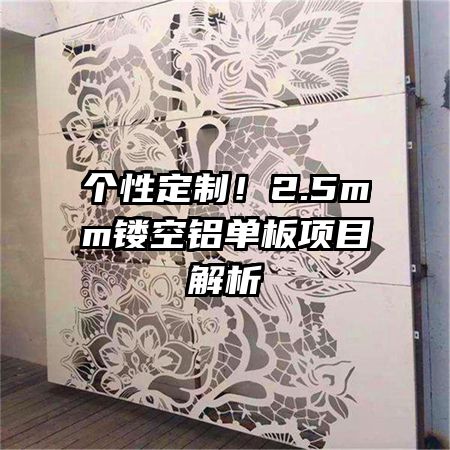 个性定制!2.5mm镂空铝单板项目解析